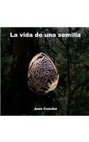 vida de una semilla