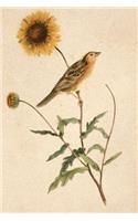Bird Watching Log