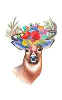 Stag Sketchbook