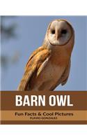Barn Owl: Fun Facts & Cool Pictures