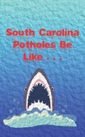 South Carolina Potholes Be Like . . .