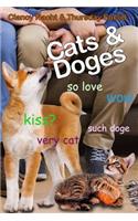 Cats & Doges
