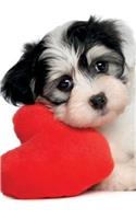 Havanese Notebook, Diary, Journal. Productivity Work Planner & Idea Notepad