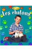 Les Chatons