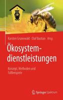 Ökosystemdienstleistungen: Konzept, Methoden Und Fallbeispiele