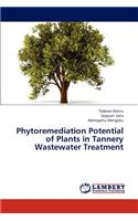 Phytoremediation Potential of Plants in Tannery Wastewater Treatment