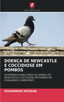 Doença de Newcastle E Coccidiose Em Pombos