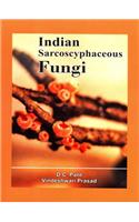Indian Sarcoscyphaceous Fungi