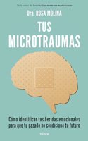 Tus microtraumas: Como identificar tus heridas emocionales para que tu pasado no condicione tu futuro