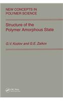 Structure of the Polymer Amorphous State