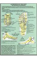 Acupoints of the Feet
