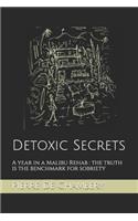 Detoxic Secrets: A year in a Malibu Rehab: the truth is the benchmark for sobriety