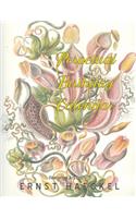 Perpetual Birthday Calendar Featuring Art From Ernst Haeckel