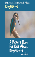 Picture Book for Kids About Kingfishers: Fascinating Facts for Kids About Kingfishers