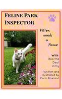 Kitten Needs a Home