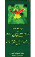 265 Images of Northern Rocky Mountains Wildflowers