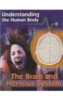 Brain and Nervous System