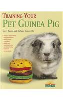 Training Your Guinea Pig