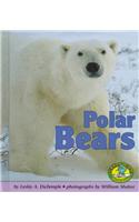 Polar Bears