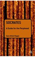 Socrates: A Guide for the Perplexed