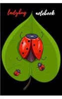 Ladybug Notebook