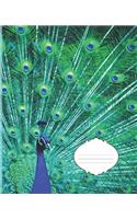 Blue Peacock School Composition Notebook Journal: (1 Cool Covers Girl Notebooks: Things and Stuff for School and Home)