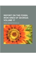 Report on the Fossil Iron Ores of Georgia Volume 17: (English)