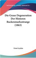 Die Graue Degeneration Der Hinteren Ruckenmarksstrange (1863)