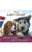 Lady and the Tramp: How Lady Met Tramp