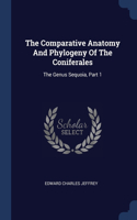 Comparative Anatomy And Phylogeny Of The Coniferales