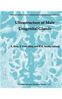 Ultrastructure of the Male Urogenital Glands