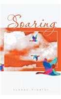 Soaring