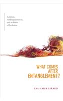 What Comes after Entanglement?