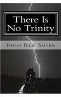 There Is No Trinity