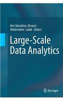 Large-Scale Data Analytics