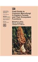Field Guide to Common Macrofungi in Eastern Forests and Their Ecosystem Functions