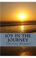 Joy in the Journey