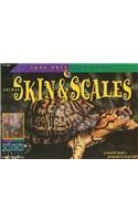 Look Once, Look Again: Skin & Scales