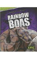 Rainbow Boas