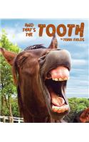 And That's the Tooth