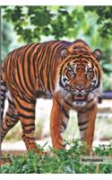 Tiger Notebook