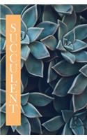 Succulent