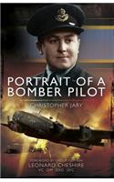 Portrait of a Bomber Pilot