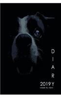 2019 Diary Week to View: Dog Lovers Border Collie Design