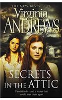 Secrets in the Attic
