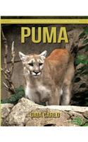 Puma: Amazing Fun Facts and Pictures about Puma for Kids