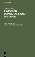 Zwischen Demokratie und Diktatur, Band 3, Von Brüning zu Hitler