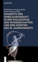 Konzepte Der Einbildungskraft in Der Philosophie, Den Wissenschaften Und Den Künsten Des 18. Jahrhunderts