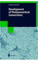 Development of Thalamocortical Connections