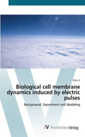 Biological cell membrane dynamics induced by electric pulses